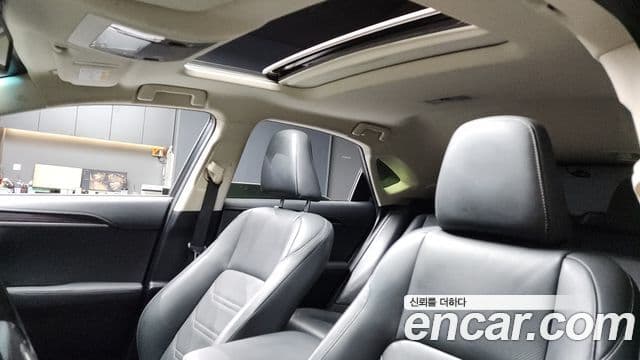 Lexus NX300h Executive, 2018 18