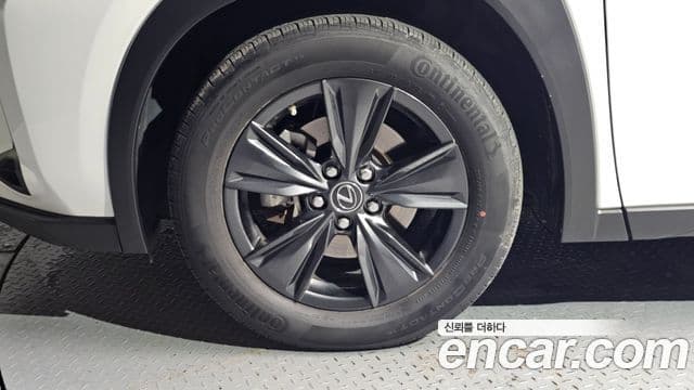 Lexus UX250h, 2024 все фото