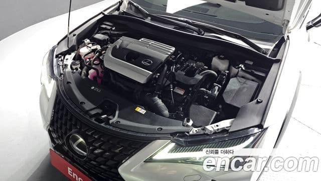 Lexus UX250h, 2024 6