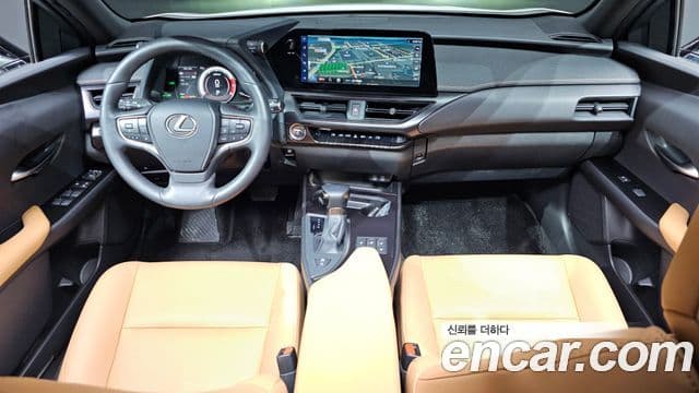 Lexus UX250h, 2024 7