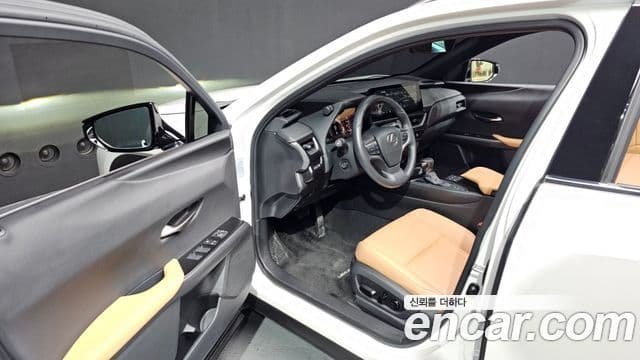 Lexus UX250h, 2024 10