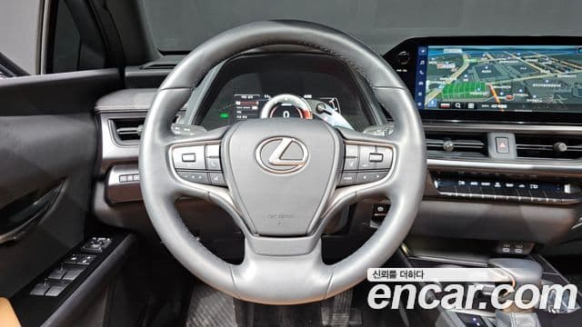 Lexus UX250h, 2024 13