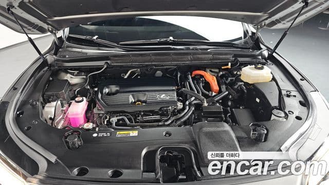 Lexus RX350h 5세대 Luxury, 2025 6