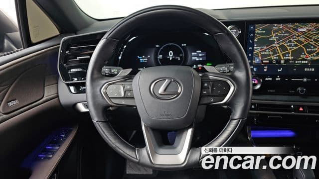 Lexus RX350h 5세대 Luxury, 2025 13