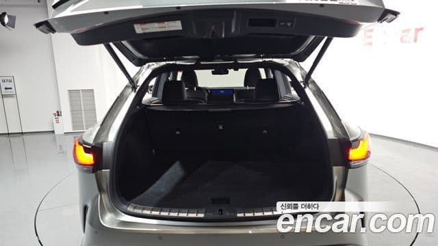Lexus RX350h 5세대 Luxury, 2025 20