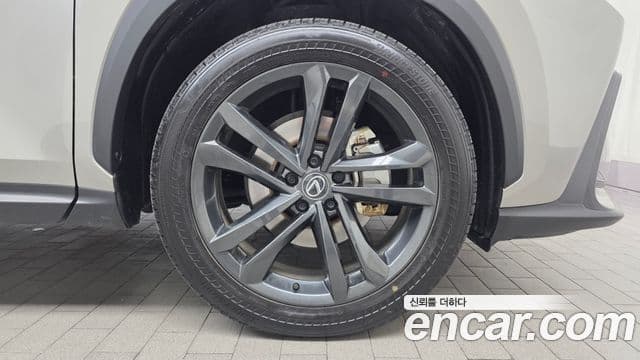 Lexus NX350h 2세대 Premium, 2025 все фото