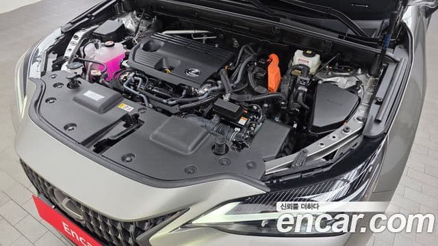 Lexus NX350h 2세대 Premium, 2025 6
