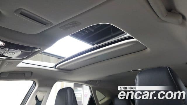 Lexus NX350h 2세대 Premium, 2025 19