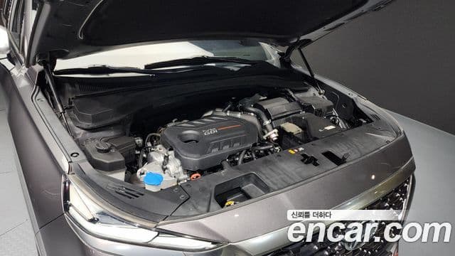 Hyundai Santa Fe TM Inspiration, 2019 6