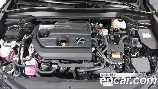 Lexus UX300h 2.0 F-Sport 2WD, 2025 6