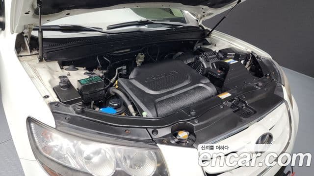 Hyundai Santa Fe CM Luxury, 2011 6