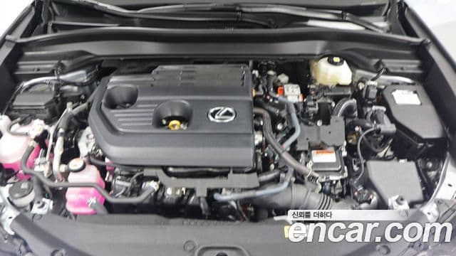 Lexus UX300h 2.0 F-Sport 2WD, 2025 6