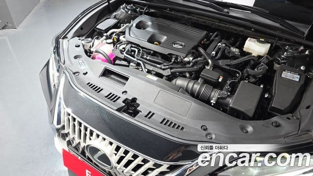 Lexus ES300h 7세대 Executive, 2026 6