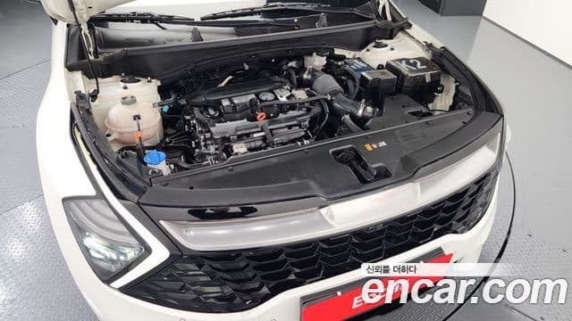 Kia Sportage 5세대 Signature, 2022 6