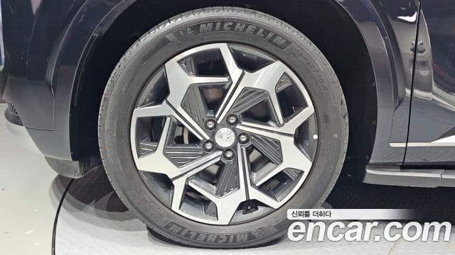 Hyundai Palisade Calligraphy, 2022 все фото