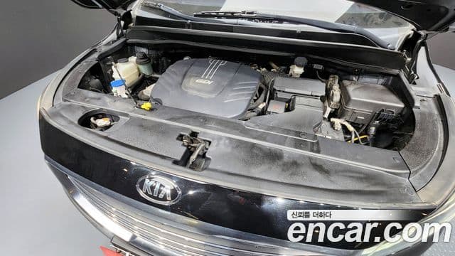 Kia All New Carnival Noblesse, 2017 6