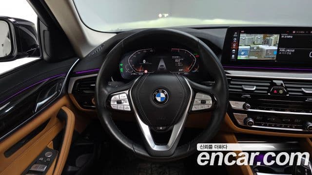 BMW 5시리즈 (G30) Luxury, 2023 13