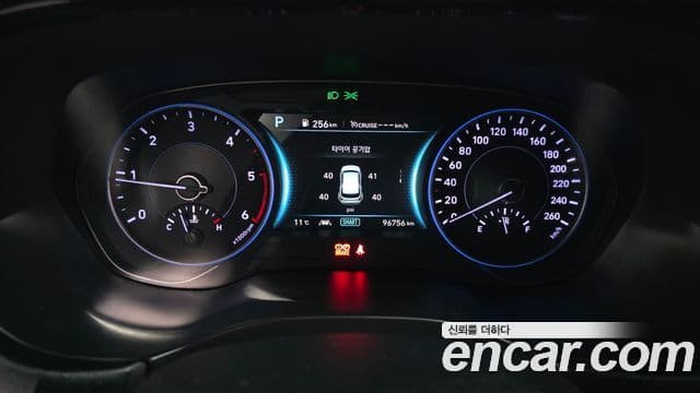 Hyundai Palisade Prestige, 2020 8