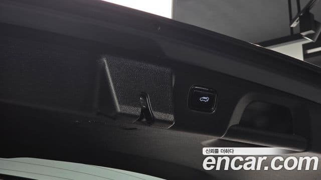 Hyundai Palisade Prestige, 2020 20