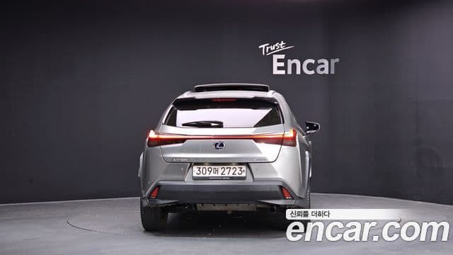 Lexus UX250h, 2021 4