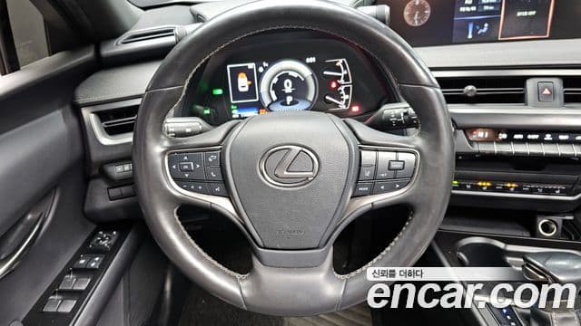 Lexus UX250h, 2021 13