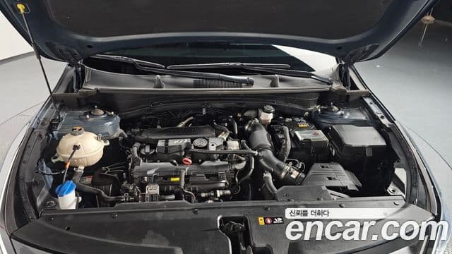 Kia Sportage 5세대 Noblesse, 2023 6