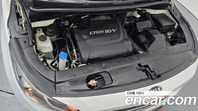 Kia All New Carnival Luxury, 2016 6