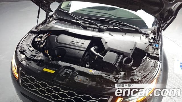 Land Rover Range Rover Evoque 2세대 P250 SE, 2021 6