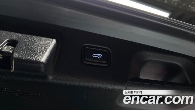 Hyundai Palisade Prestige, 2021 20