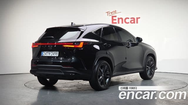 Lexus NX350h 2세대 Premium, 2025 2