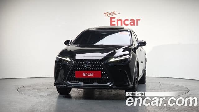 Lexus NX350h 2세대 Premium, 2025 3