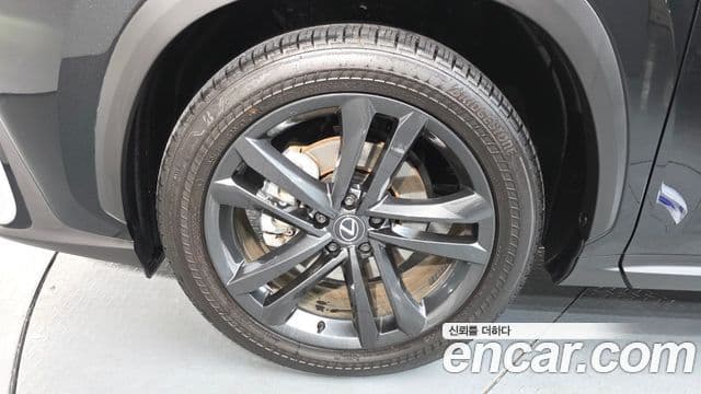 Lexus NX350h 2세대 Premium, 2025 все фото