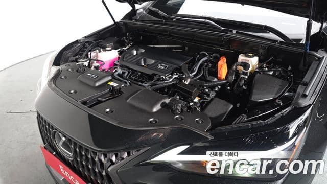 Lexus NX350h 2세대 Premium, 2025 6