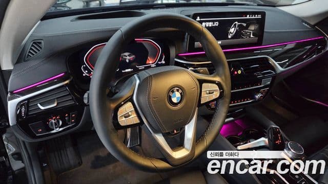 BMW 5시리즈 (G30) Luxury, 2023 10