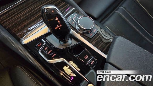 BMW 5시리즈 (G30) Luxury, 2023 14