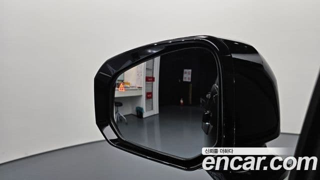 Hyundai Santa Fe (MX5) Calligraphy, 2024 17