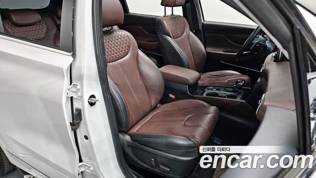 Hyundai Santa Fe TM Inspiration, 2020 10