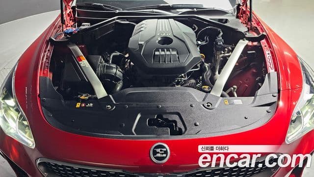 Kia 스팅어 Platinum, 2019 6