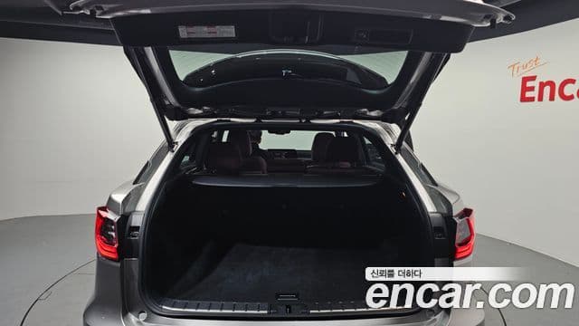 Lexus RX450h 4세대 F-Sport, 2017 20