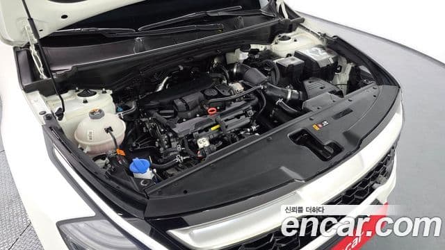 Kia Sportage 5세대 Signature, 2024 6