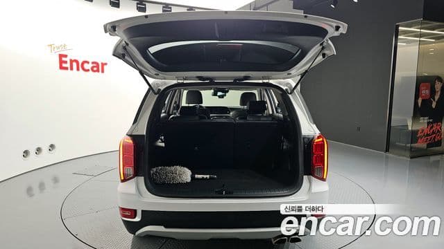 Hyundai Palisade Exclusive, 2021 20