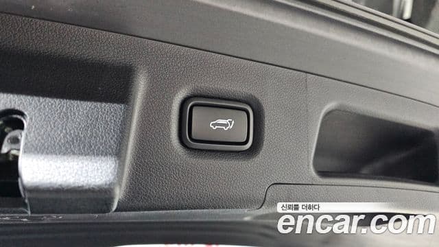 Hyundai Santa Fe TM Exclusive, 2020 20