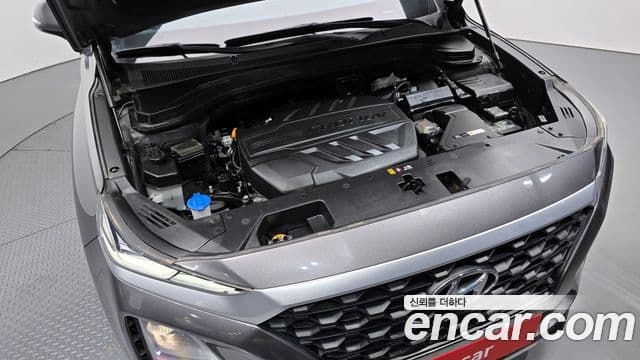 Hyundai Santa Fe TM Exclusive, 2019 6