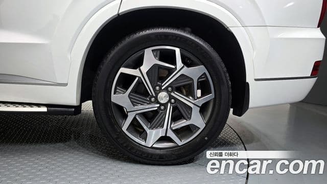 Hyundai Palisade Calligraphy, 2021 все фото