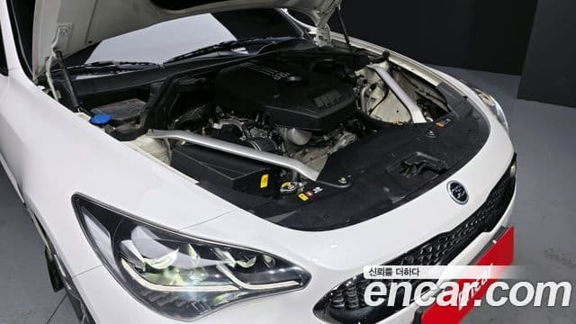 Kia 스팅어 Platinum, 2019 6