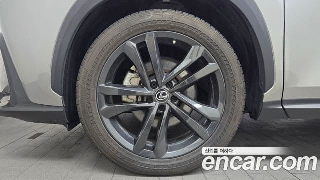 Lexus NX350h 2세대 Premium, 2023 все фото