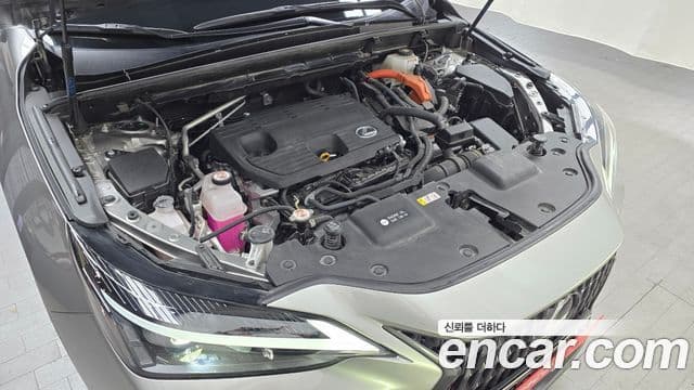 Lexus NX350h 2세대 Premium, 2023 6
