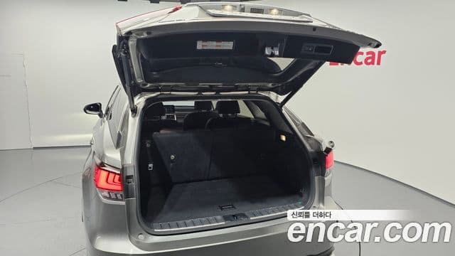 Lexus RX450hL 4세대 Executive, 2021 20