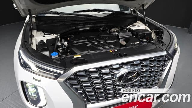 Hyundai Palisade Prestige, 2019 6