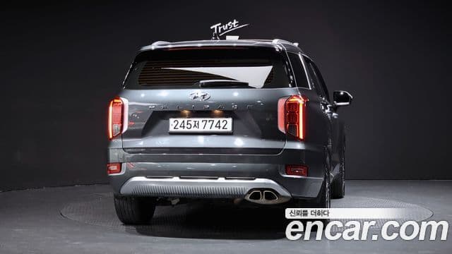 Hyundai Palisade VIP, 2022 4